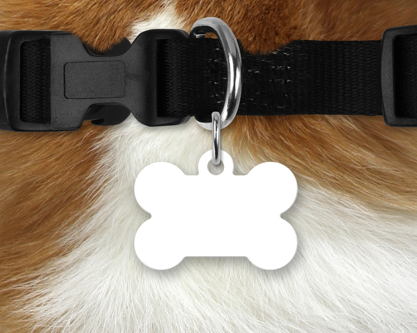 Pet Tag - Bone Shaped - Custom Order